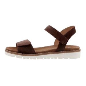 Ara <br /> 286301002