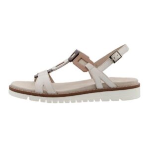 Ara <br /> 286401006