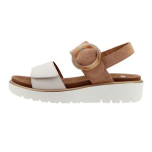 Ara <br /> 287491013