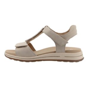 Ara <br /> 289401005